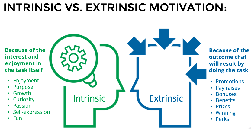 Intrinsic And Extrinsic Motivation