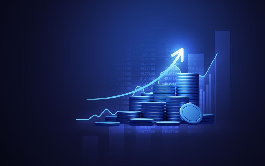 Net Cash Flow