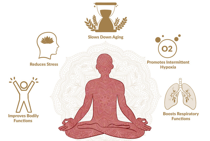 Benefits of Breathwork Meditation